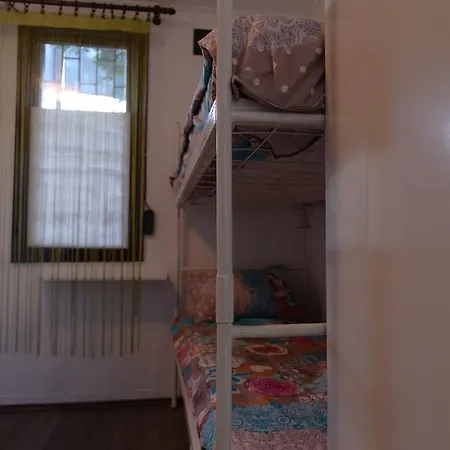Shungit Dragana Jeftica Br 10 Belgrade